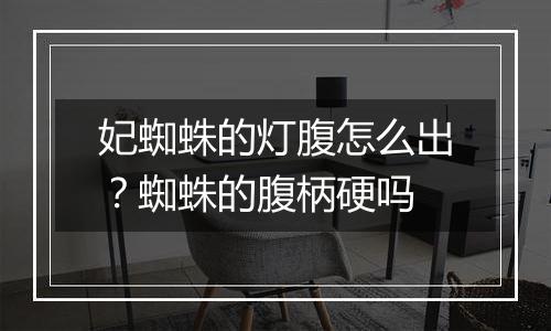 妃蜘蛛的灯腹怎么出？蜘蛛的腹柄硬吗