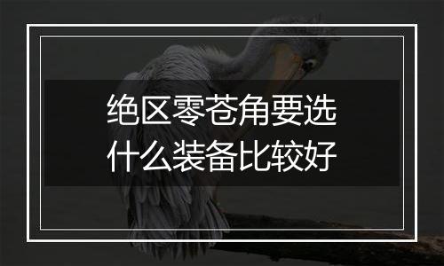 绝区零苍角要选什么装备比较好