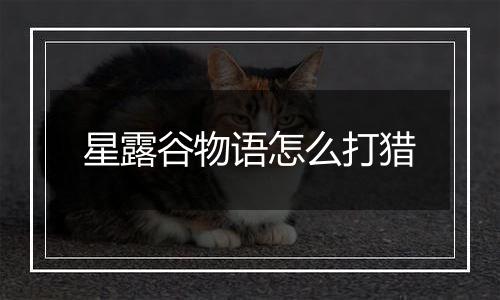 星露谷物语怎么打猎