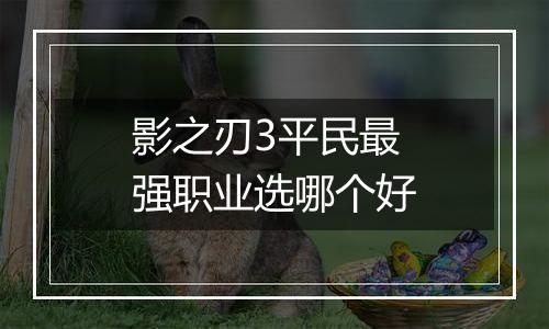 影之刃3平民最强职业选哪个好
