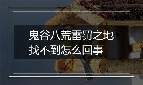 鬼谷八荒雷罚之地找不到怎么回事