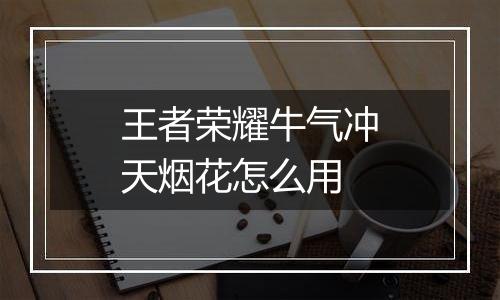 王者荣耀牛气冲天烟花怎么用