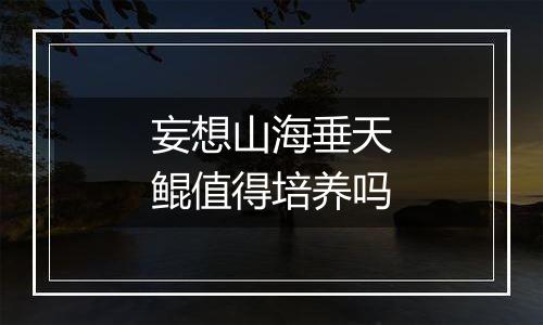 妄想山海垂天鲲值得培养吗
