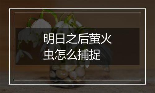 明日之后萤火虫怎么捕捉