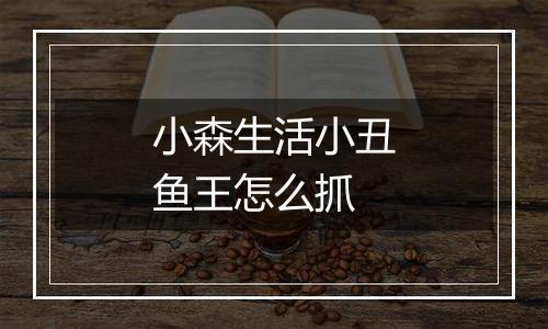 小森生活小丑鱼王怎么抓