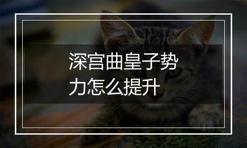 深宫曲皇子势力怎么提升