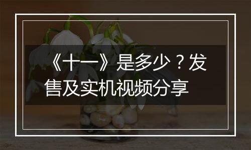 《十一》是多少？发售及实机视频分享