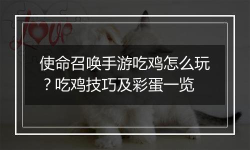 使命召唤手游吃鸡怎么玩？吃鸡技巧及彩蛋一览