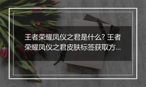 王者荣耀凤仪之君是什么? 王者荣耀凤仪之君皮肤标签获取方法