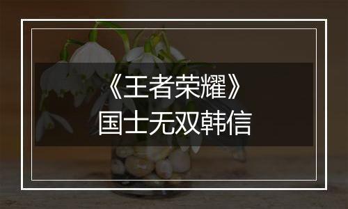 《王者荣耀》国士无双韩信