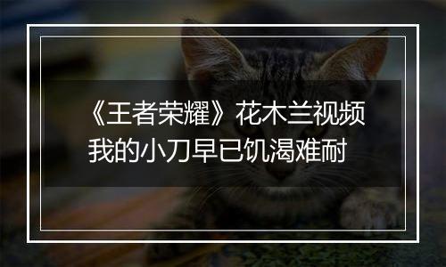 《王者荣耀》花木兰视频 我的小刀早已饥渴难耐