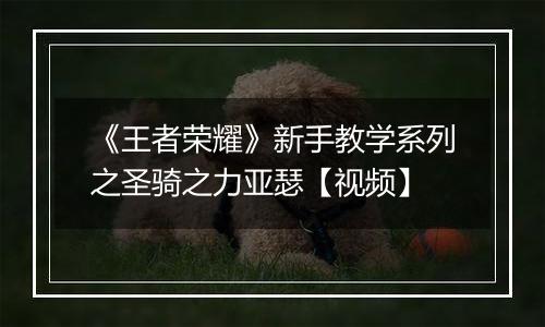 《王者荣耀》新手教学系列之圣骑之力亚瑟【视频】