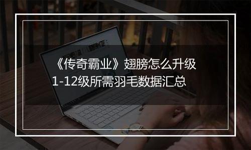 《传奇霸业》翅膀怎么升级 1-12级所需羽毛数据汇总