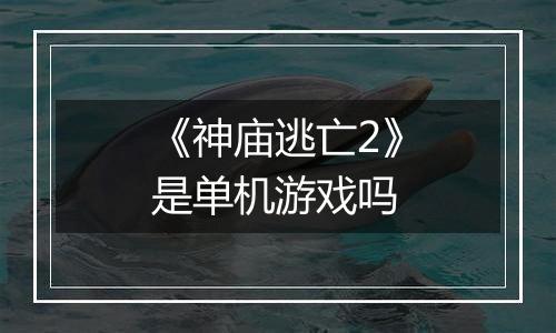 《神庙逃亡2》是单机游戏吗