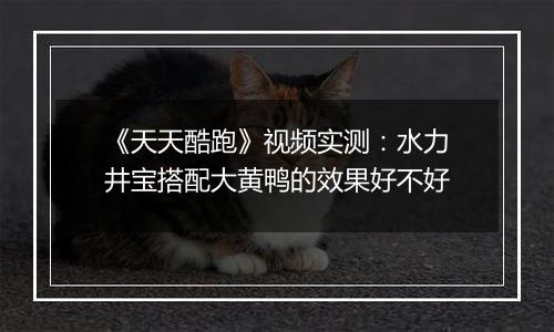 《天天酷跑》视频实测：水力井宝搭配大黄鸭的效果好不好