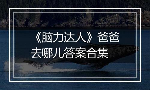 《脑力达人》爸爸去哪儿答案合集