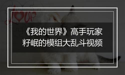 《我的世界》高手玩家籽岷的模组大乱斗视频