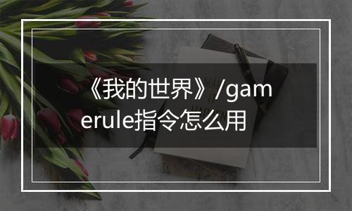 《我的世界》/gamerule指令怎么用
