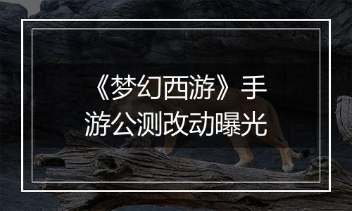 《梦幻西游》手游公测改动曝光