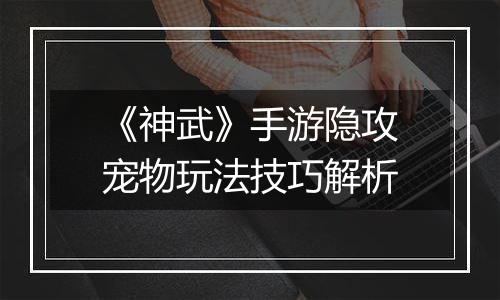 《神武》手游隐攻宠物玩法技巧解析