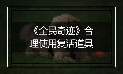 《全民奇迹》合理使用复活道具