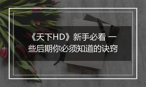 《天下HD》新手必看 一些后期你必须知道的诀窍