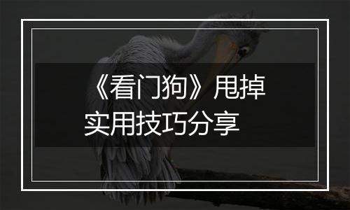 《看门狗》甩掉实用技巧分享