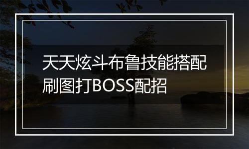 天天炫斗布鲁技能搭配刷图打BOSS配招