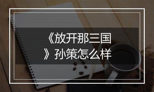 《放开那三国》孙策怎么样