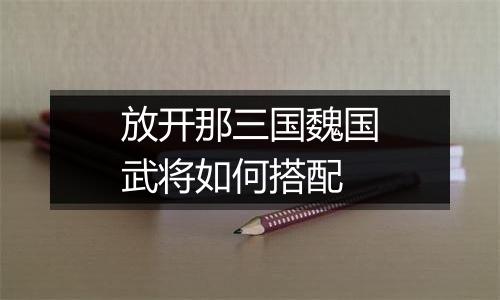 放开那三国魏国武将如何搭配