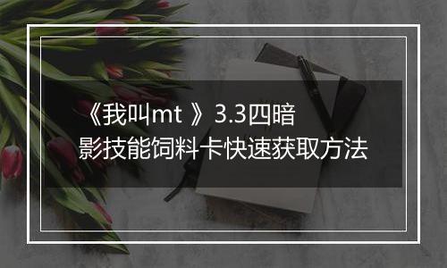 《我叫mt 》3.3四暗影技能饲料卡快速获取方法
