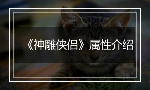 《神雕侠侣》属性介绍