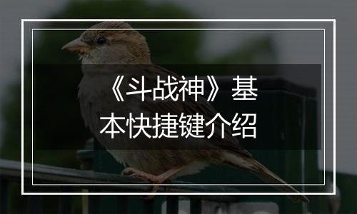 《斗战神》基本快捷键介绍