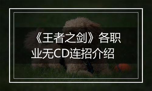 《王者之剑》各职业无CD连招介绍