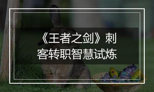 《王者之剑》刺客转职智慧试炼