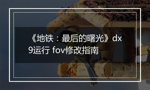 《地铁：最后的曙光》dx9运行 fov修改指南