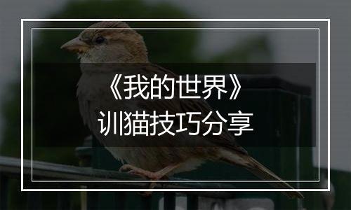 《我的世界》训猫技巧分享