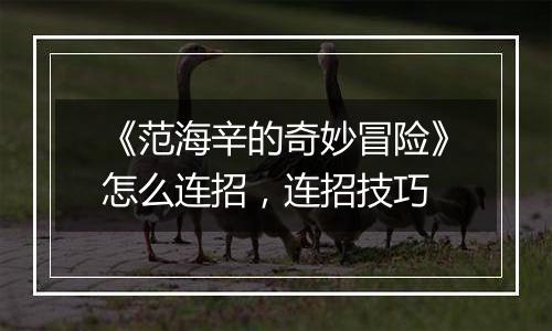 《范海辛的奇妙冒险》怎么连招，连招技巧