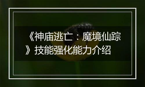 《神庙逃亡：魔境仙踪》技能强化能力介绍