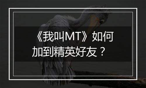 《我叫MT》如何加到精英好友？