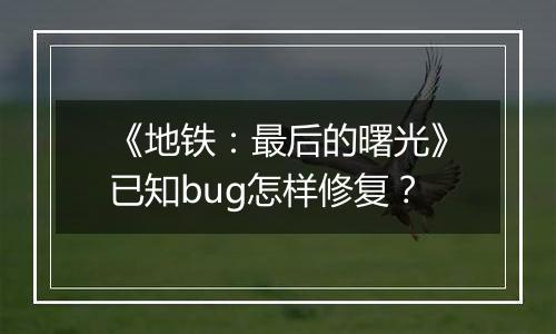 《地铁：最后的曙光》已知bug怎样修复？