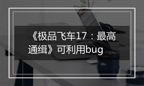 《极品飞车17：最高通缉》可利用bug