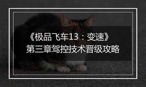 《极品飞车13：变速》第三章驾控技术晋级攻略