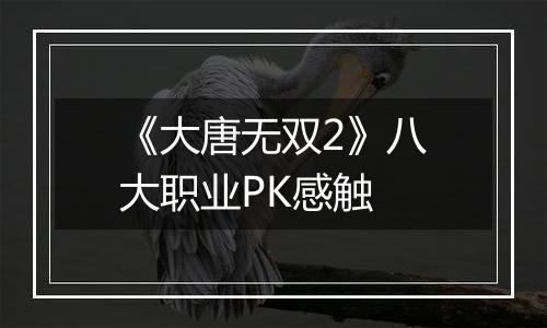 《大唐无双2》八大职业PK感触
