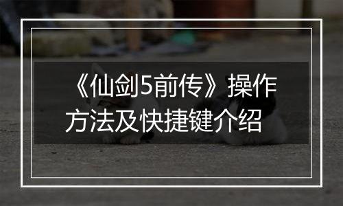 《仙剑5前传》操作方法及快捷键介绍