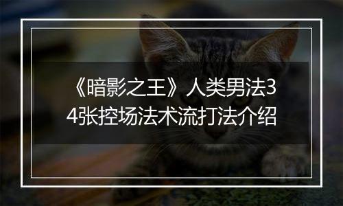 《暗影之王》人类男法34张控场法术流打法介绍