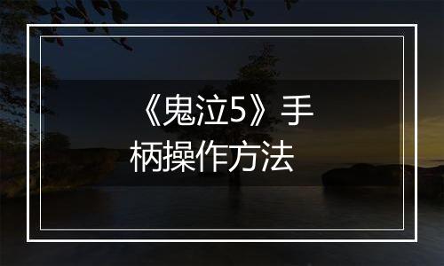 《鬼泣5》手柄操作方法