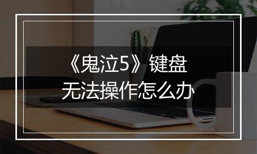 《鬼泣5》键盘无法操作怎么办
