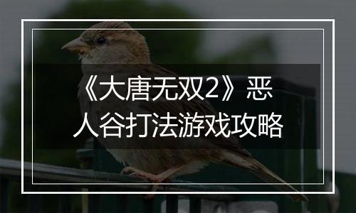 《大唐无双2》恶人谷打法游戏攻略