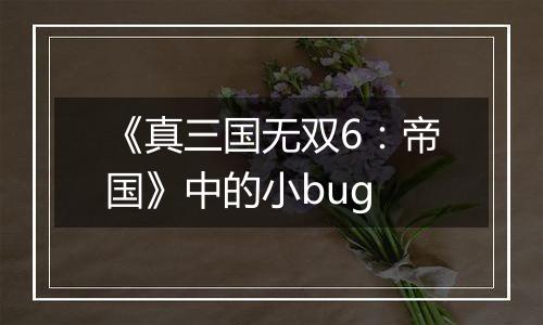 《真三国无双6：帝国》中的小bug